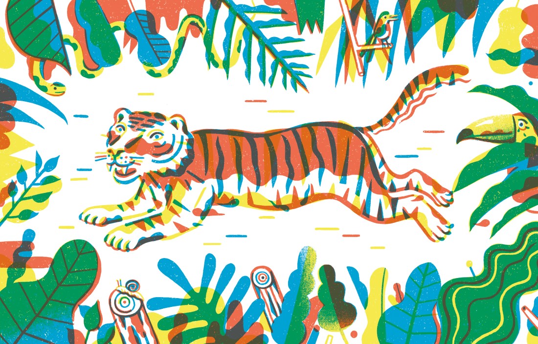 Tigre-2,9-rec-300-rvb